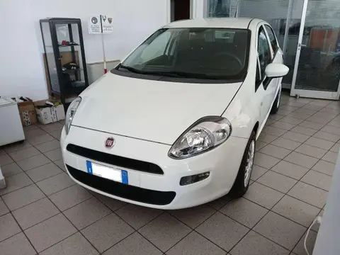 Used FIAT PUNTO Petrol 2017 Ad 