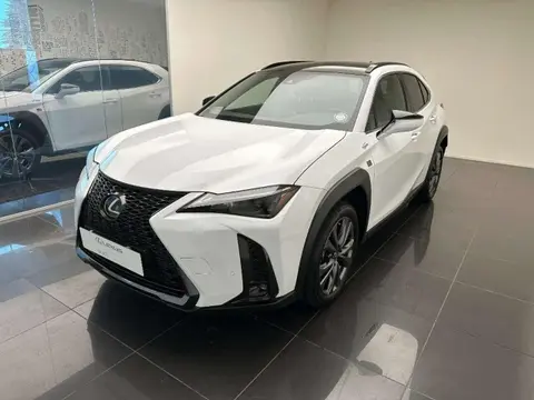 Used LEXUS UX Hybrid 2023 Ad 