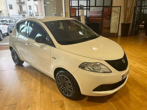 Used LANCIA YPSILON Hybrid 2023 Ad 