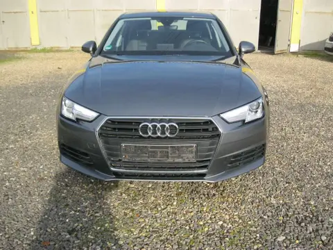 Annonce AUDI A4 Diesel 2019 d'occasion 