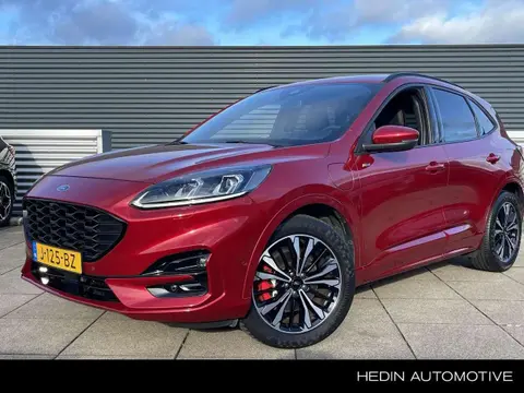 Used FORD KUGA Hybrid 2020 Ad 