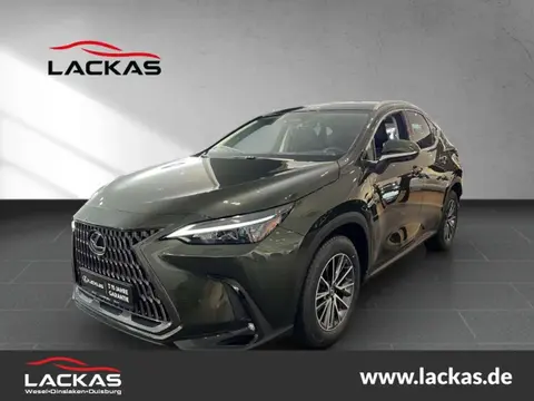 Annonce LEXUS NX Hybride 2024 d'occasion 