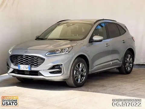 Used FORD KUGA Hybrid 2022 Ad 