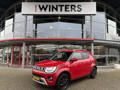 Annonce SUZUKI IGNIS Hybride 2020 d'occasion 