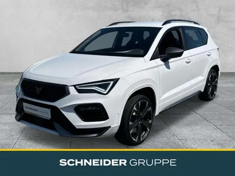 Used CUPRA ATECA Petrol 2023 Ad 