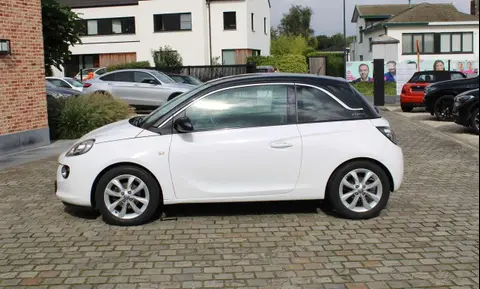 Used OPEL ADAM Petrol 2017 Ad 