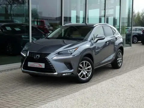 Used LEXUS NX Hybrid 2021 Ad 