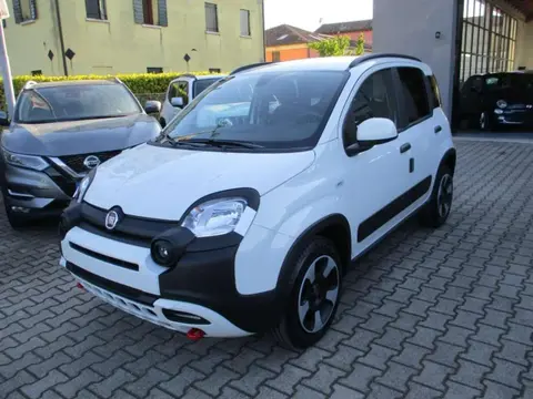 Used FIAT PANDA Hybrid 2024 Ad 