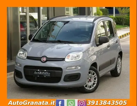 Annonce FIAT PANDA Essence 2017 d'occasion 