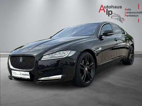 Annonce JAGUAR XF Diesel 2018 d'occasion 