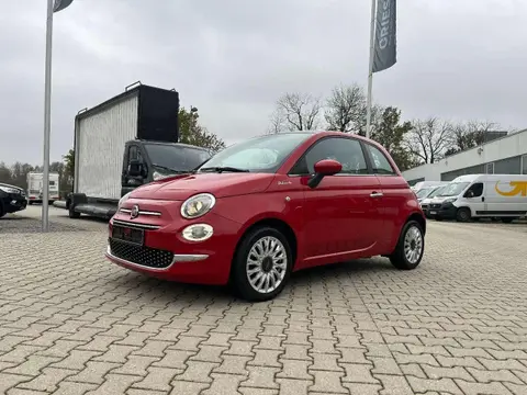 Used FIAT 500 Petrol 2021 Ad 