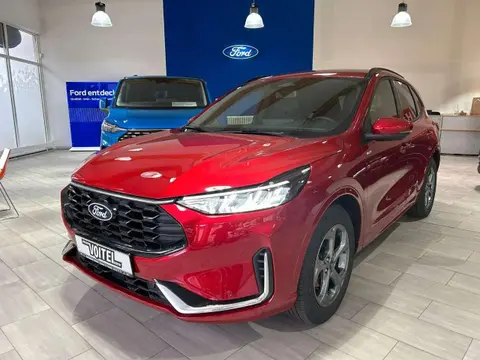 Annonce FORD KUGA Essence 2024 d'occasion 