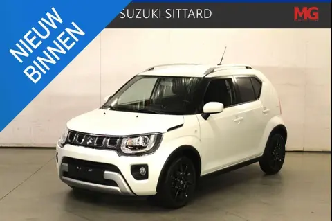 Annonce SUZUKI IGNIS Hybride 2020 d'occasion 