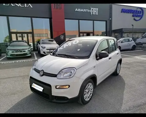 Annonce FIAT PANDA Hybride 2024 d'occasion 