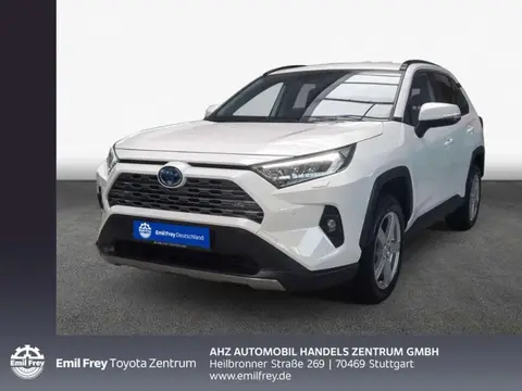 Used TOYOTA RAV4 Hybrid 2023 Ad 