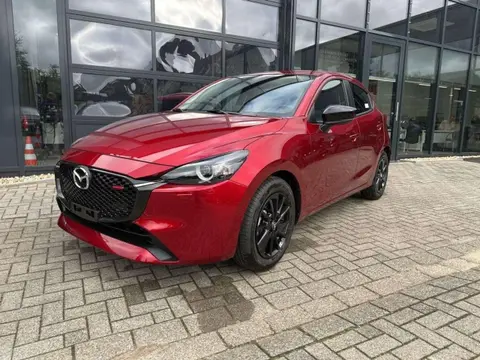 Annonce MAZDA 2 Essence 2024 d'occasion 