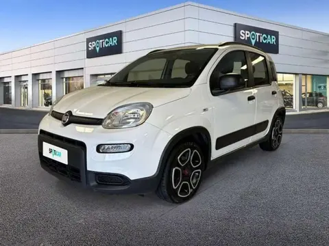 Used FIAT PANDA Petrol 2022 Ad 