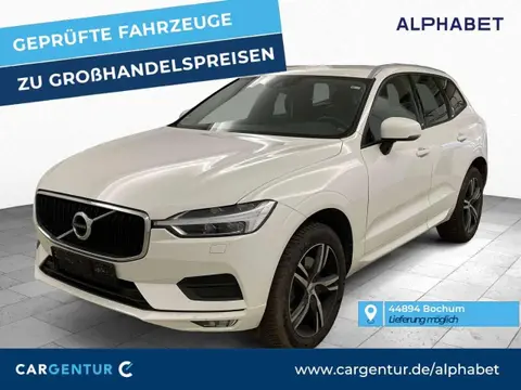 Used VOLVO XC60 Diesel 2019 Ad 