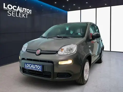 Annonce FIAT PANDA GPL 2024 d'occasion 