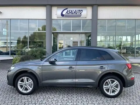 Used AUDI Q5 Hybrid 2024 Ad 