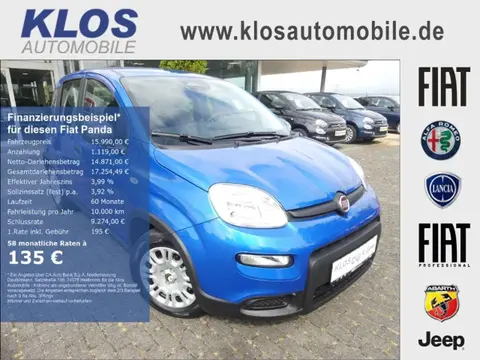 Used FIAT PANDA Petrol 2024 Ad 