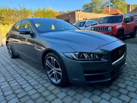 Annonce JAGUAR XE Diesel 2019 d'occasion 