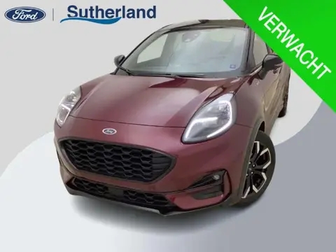 Used FORD PUMA Petrol 2024 Ad 