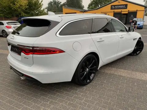 Used JAGUAR XF Diesel 2018 Ad 