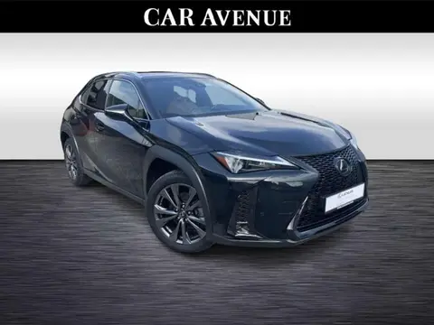 Annonce LEXUS UX Hybride 2023 d'occasion 