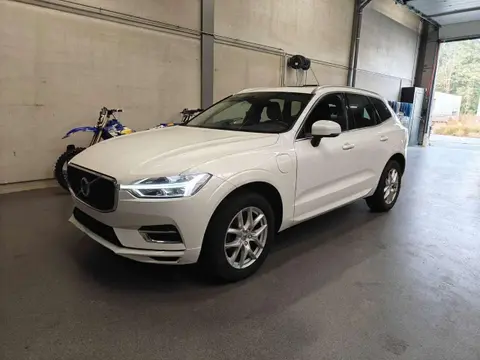 Used VOLVO XC60 Petrol 2019 Ad 