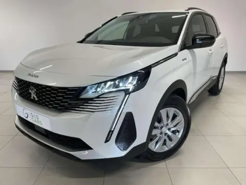 Used PEUGEOT 3008 Diesel 2023 Ad 