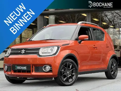 Annonce SUZUKI IGNIS Hybride 2020 d'occasion 