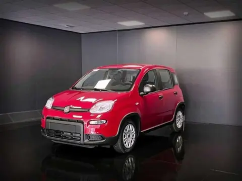 Used FIAT PANDA Hybrid 2024 Ad 