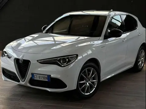 Annonce ALFA ROMEO STELVIO Diesel 2022 d'occasion 