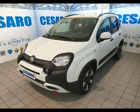 Annonce FIAT PANDA Hybride 2024 d'occasion 