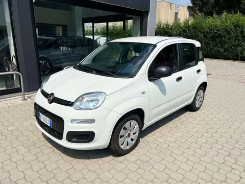 Annonce FIAT PANDA Essence 2019 d'occasion 