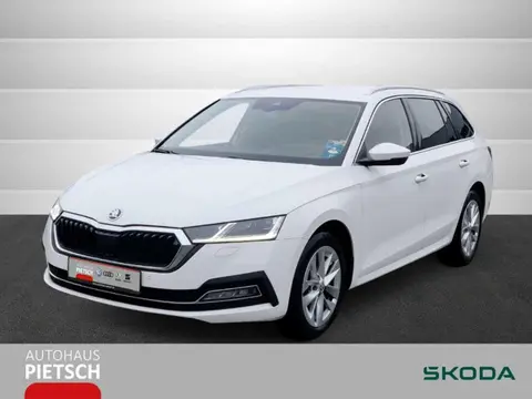 Annonce SKODA OCTAVIA Diesel 2020 d'occasion 