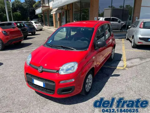 Used FIAT PANDA Petrol 2020 Ad 