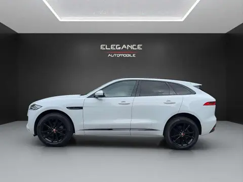 Annonce JAGUAR F-PACE Diesel 2020 d'occasion 