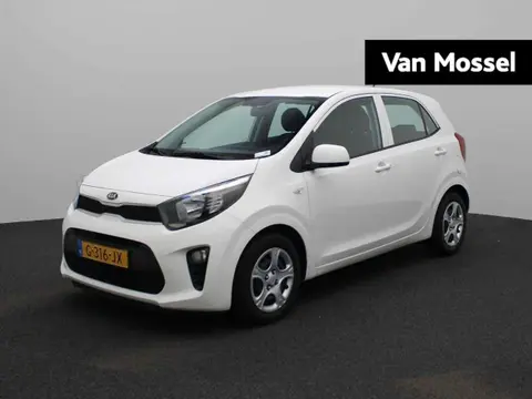 Used KIA PICANTO Petrol 2019 Ad 