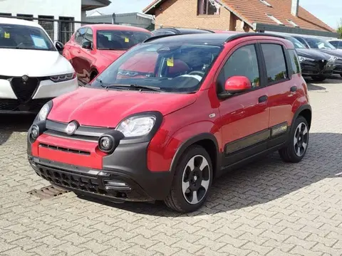 Used FIAT PANDA Petrol 2024 Ad 