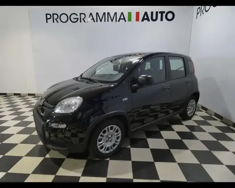 Annonce FIAT PANDA Hybride 2024 d'occasion 