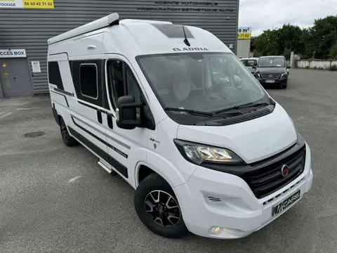 Annonce FIAT DUCATO Diesel 2021 d'occasion 