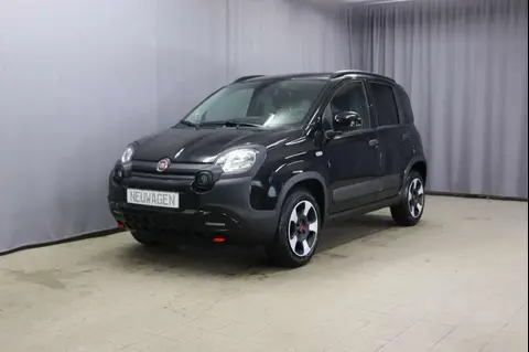 Used FIAT PANDA Petrol 2024 Ad 