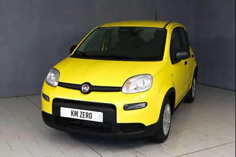 Annonce FIAT PANDA Hybride 2024 d'occasion 