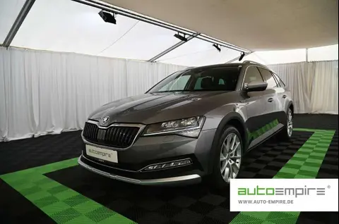 Annonce SKODA SUPERB Diesel 2023 d'occasion 