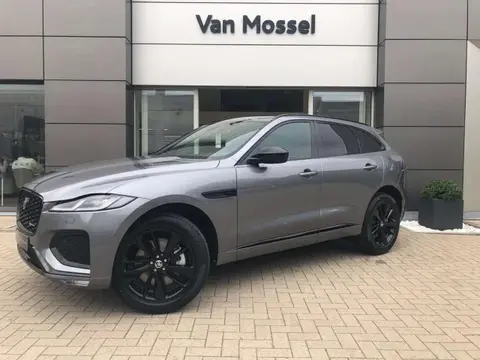 Annonce JAGUAR F-PACE Hybride 2024 d'occasion 