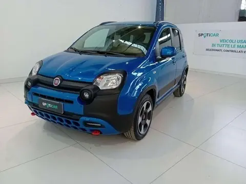 Annonce FIAT PANDA Hybride 2023 d'occasion 