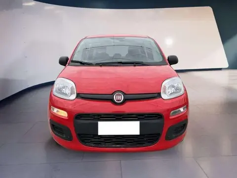 Used FIAT PANDA Hybrid 2021 Ad 