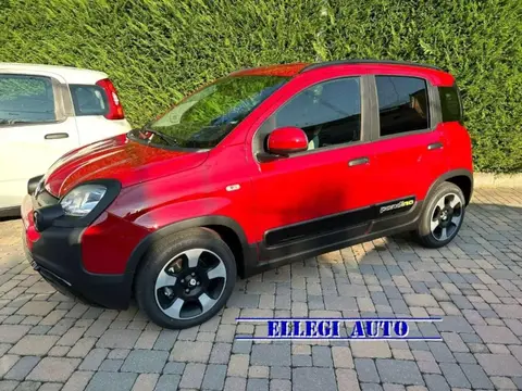 Used FIAT PANDA Hybrid 2024 Ad 